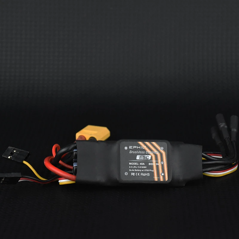 esc1 esc1
